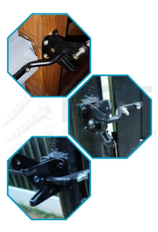WHG 50 (2).png
